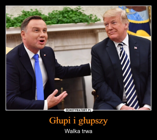 
    Głupi i głupszy