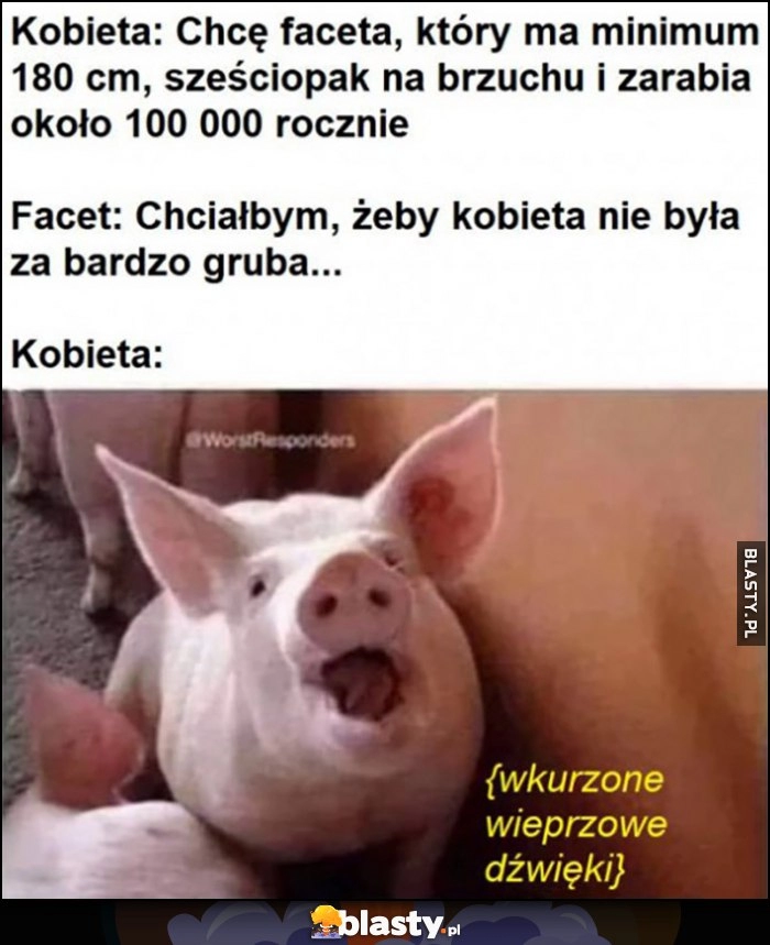 
    Kobieta: chcę faceta 180cm, sześciopak, duże zarobki. Facet: chciałbym, żeby kobieta nie była za bardzo gruba, kobieta: wkurzone wieprzowe dźwięki świnia prosię