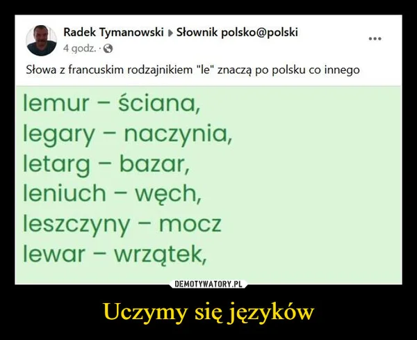 
    Uczymy się języków