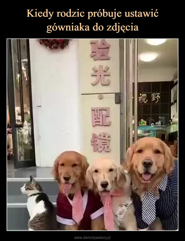 
    Kiedy rodzic próbuje ustawić gówniaka do zdjęcia