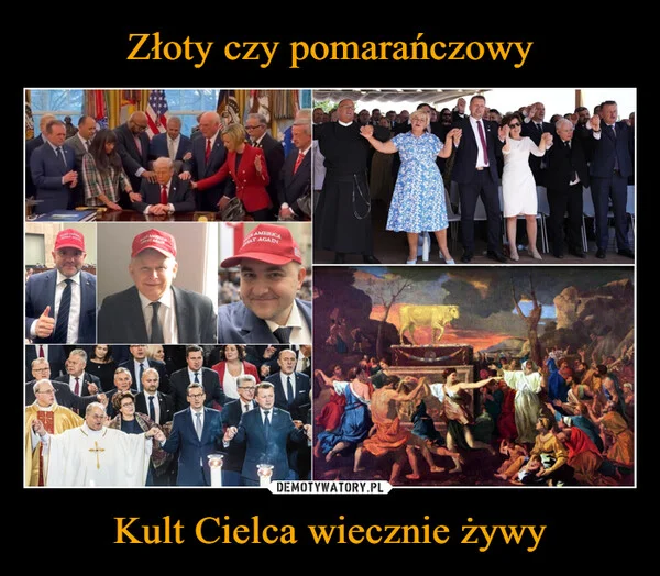 Złoty czy pomarańczowy Kult Cielca wiecznie żywy