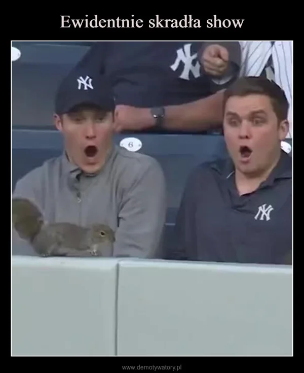 
    Ewidentnie skradła show