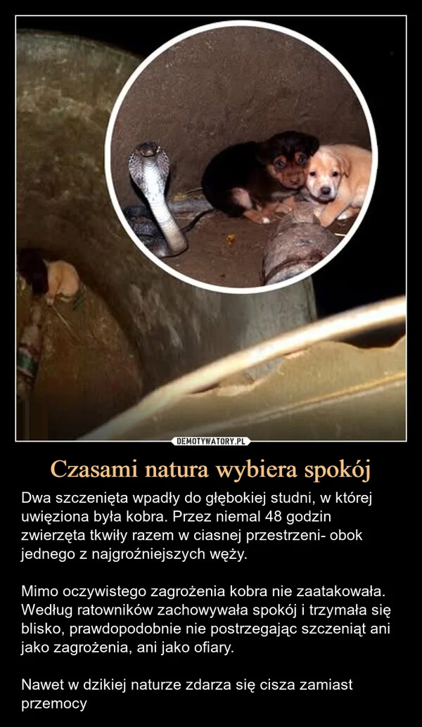 
    Czasami natura wybiera spokój