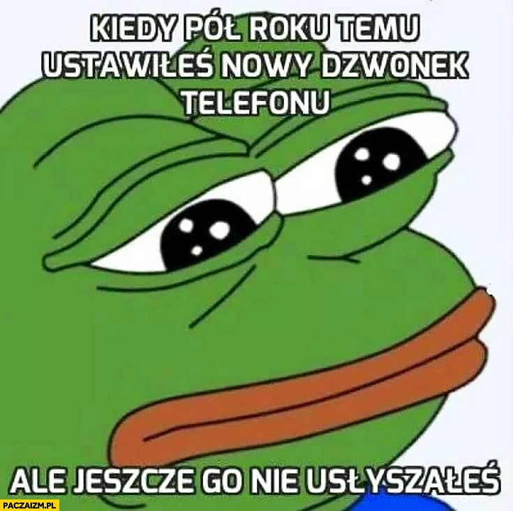 
    Kiedy pół roku temu ustawiłeś nowy dzwonek telefonu ale jeszcze go nie usłyszałeś smutna żaba Pepe