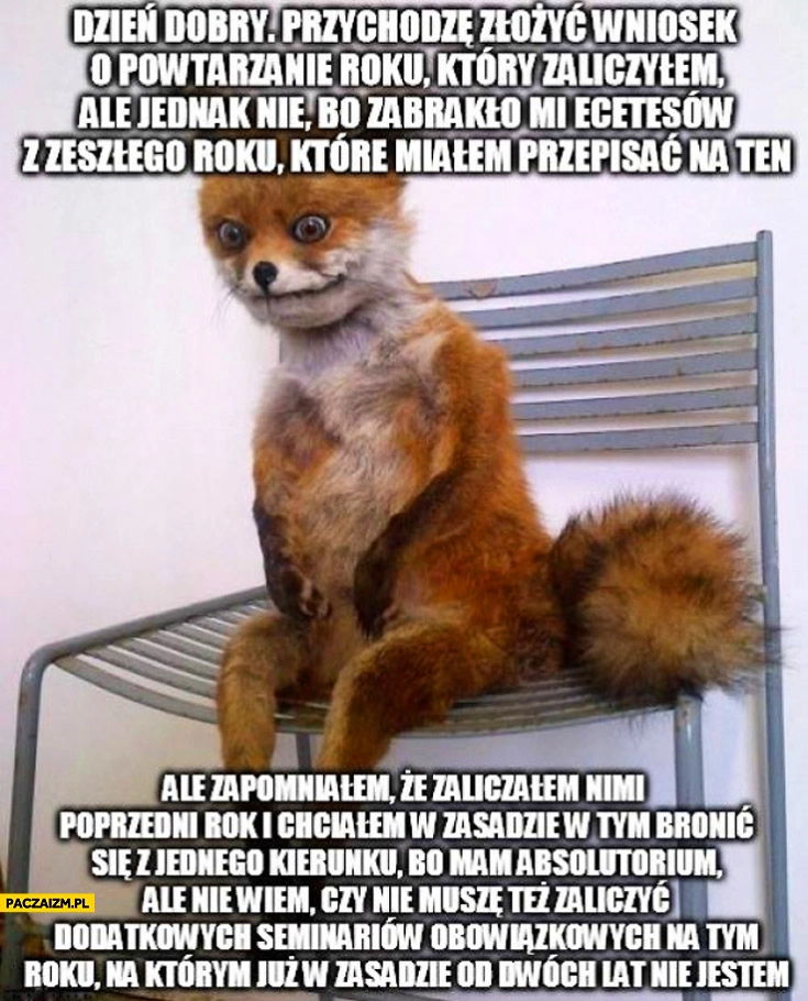 Typowy student przychodzę złożyć wniosek o powtarzanie roku który zaliczyłem ale jednak nie bo zabrakło mi ecetesów z zeszłego roku które miałem przepisać na ten