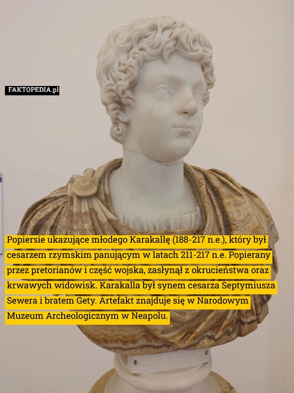 
    Popiersie ukazujące młodego Karakallę (188-217 n.e.), który był