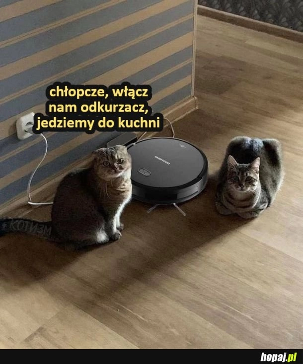 
    Chłopcze, włącz odkurzacz