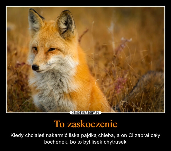 
    
To zaskoczenie 