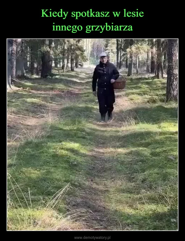 
    Kiedy spotkasz w lesie innego grzybiarza