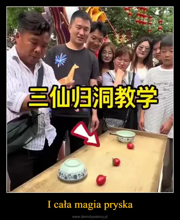 
    I cała magia pryska