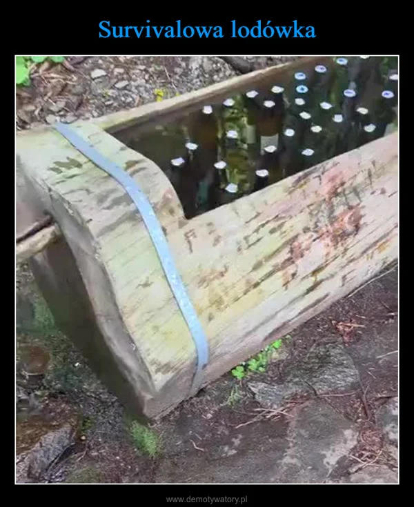 
    Survivalowa lodówka