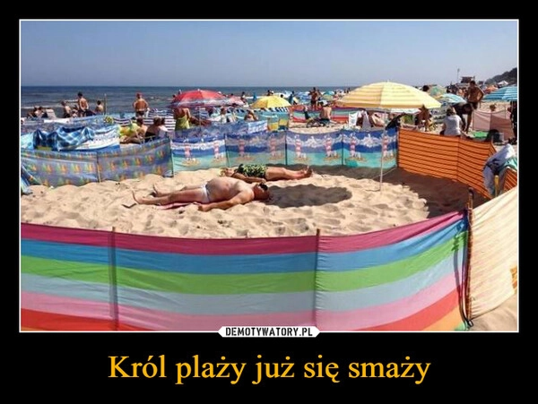 
    Król plaży już się smaży