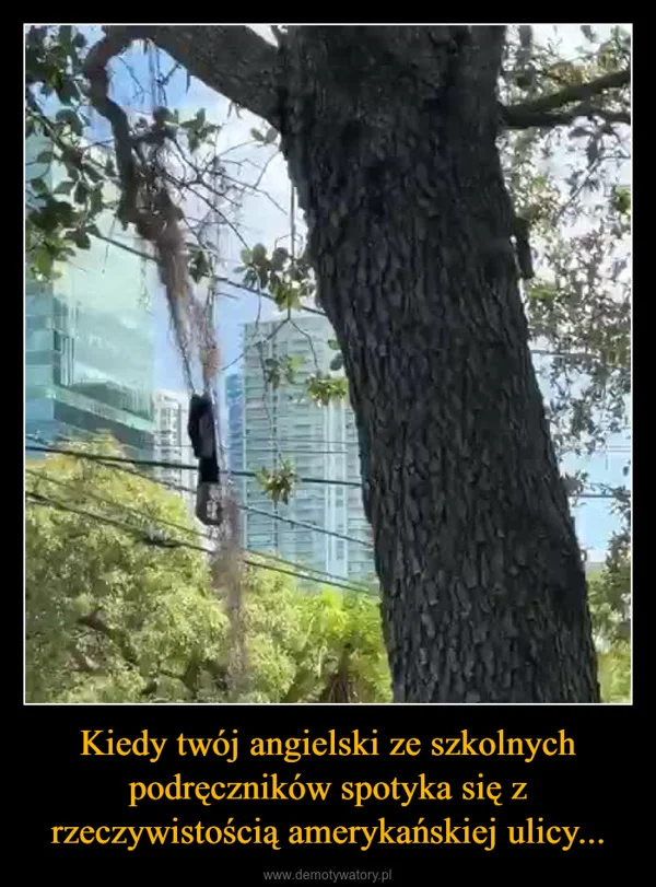 
    Kiedy twój angielski ze szkolnych podręczników spotyka się z rzeczywistością amerykańskiej ulicy...
