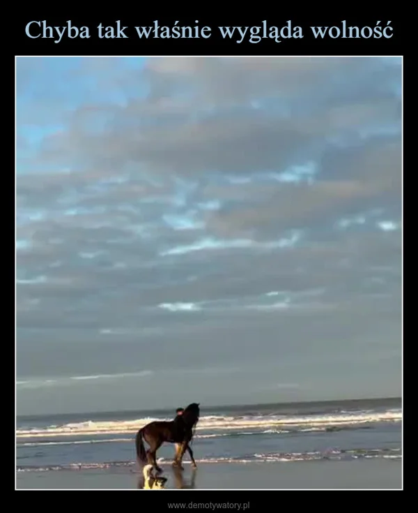 
    Chyba tak właśnie wygląda wolność