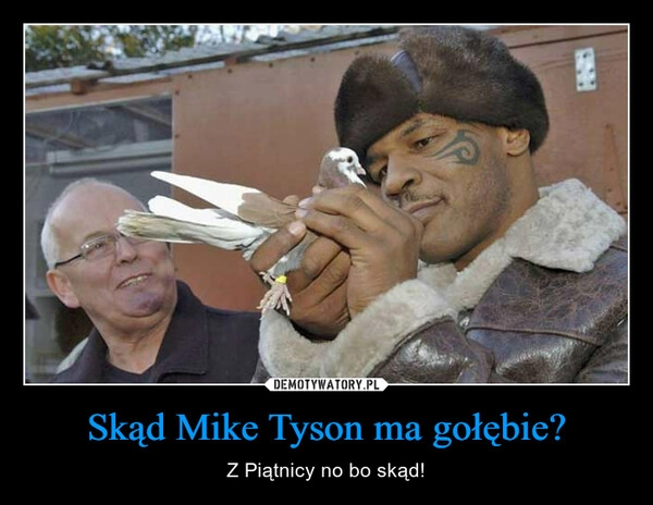 
    Skąd Mike Tyson ma gołębie?