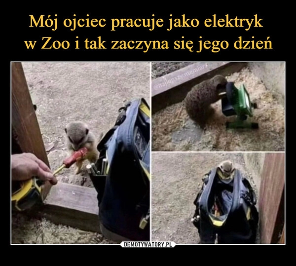 
    Mój ojciec pracuje jako elektryk 
w Zoo i tak zaczyna się jego dzień