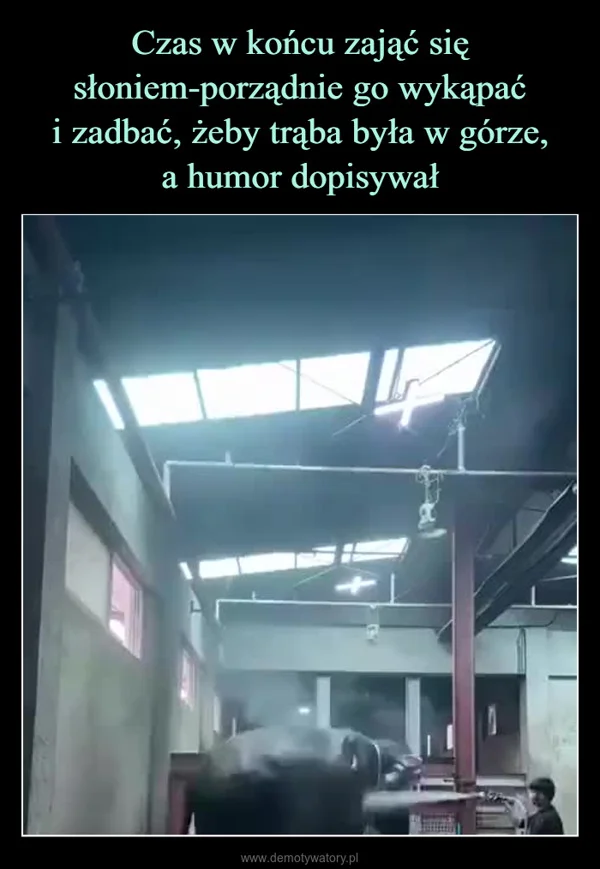 
    Czas w końcu zająć się słoniem-porządnie go wykąpać i zadbać, żeby trąba była w górze, a humor dopisywał