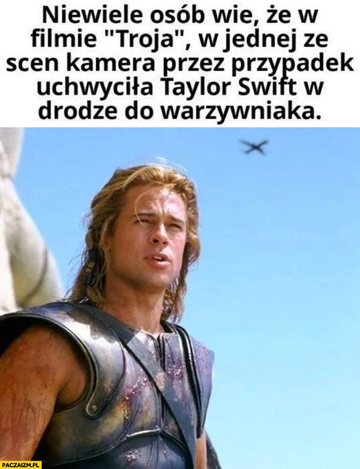 
    Niewiele osób wie, że w filmie Troja w jednej ze scen kamera uchwyciła samolot Taylor Swift w drodze do warzywniaka