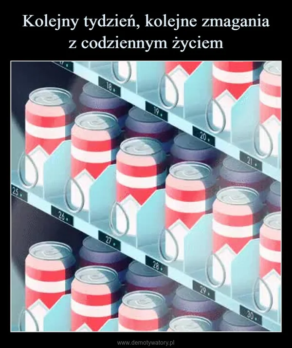 
    Kolejny tydzień, kolejne zmagania z codziennym życiem