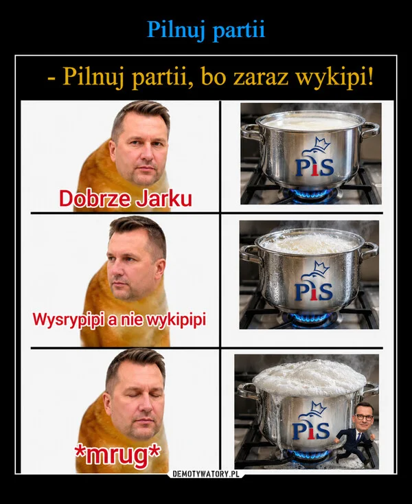 Pilnuj partii
