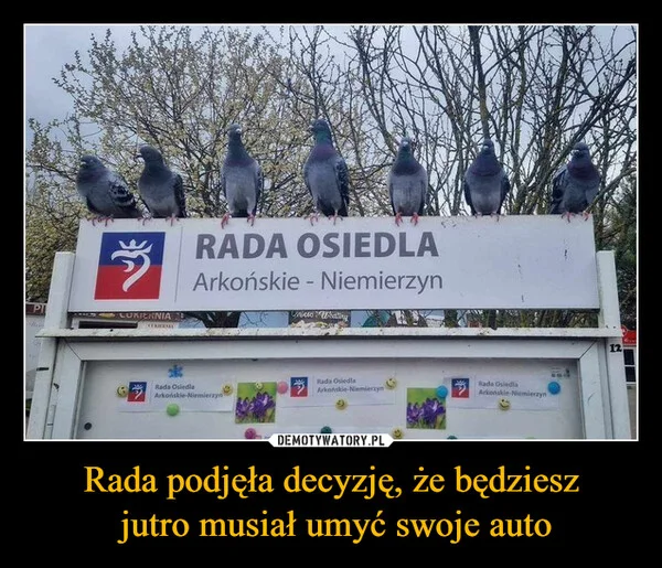 
    Rada podjęła decyzję, że będziesz jutro musiał umyć swoje auto
