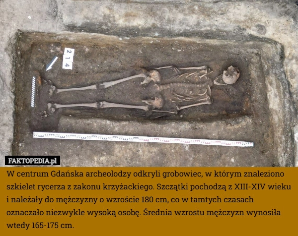 
    W centrum Gdańska archeolodzy odkryli grobowiec, w którym znaleziono szkielet