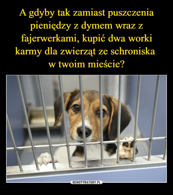 
    A gdyby tak zamiast puszczenia pieniędzy z dymem wraz z fajerwerkami, kupić dwa worki karmy dla zwierząt ze schroniska 
w twoim mieście?