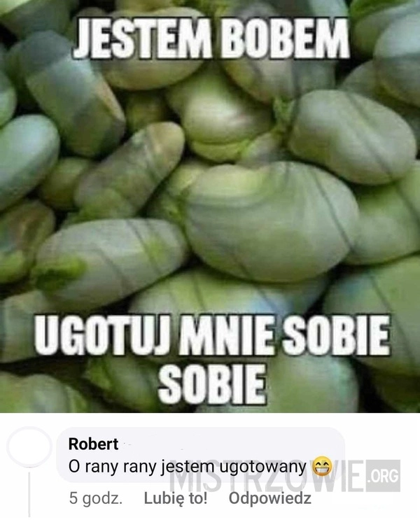 
    Bobofonika