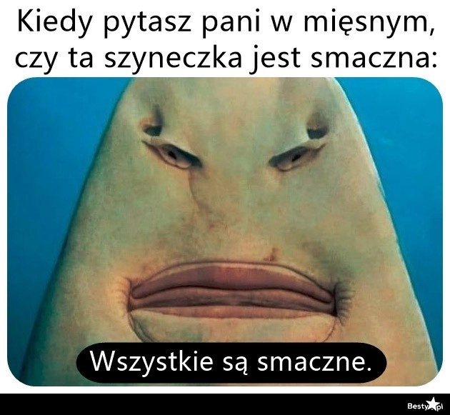 
    Szyneczka 