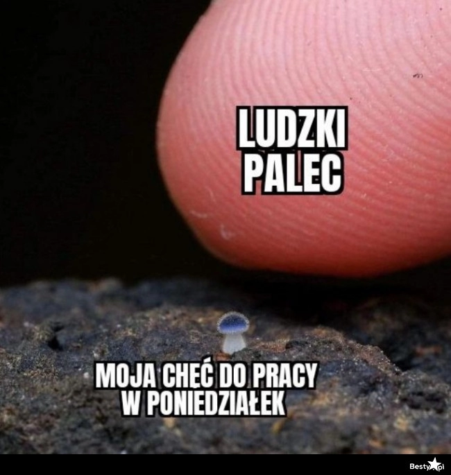 
    Chęć do pracy w poniedziałek 