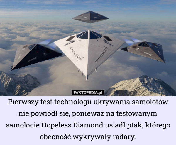 
    Pierwszy test technologii ukrywania samolotów nie powiódł się, ponieważ