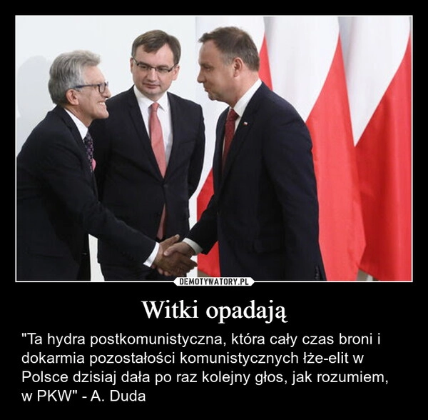 
    Witki opadają