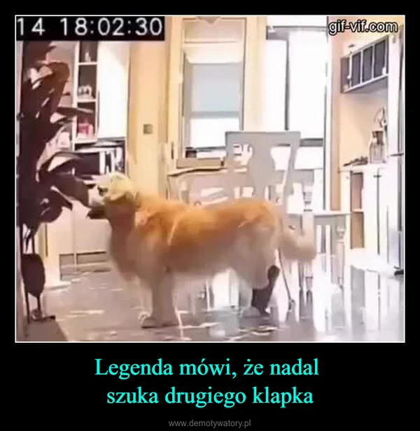 
    Legenda mówi, że nadal szuka drugiego klapka