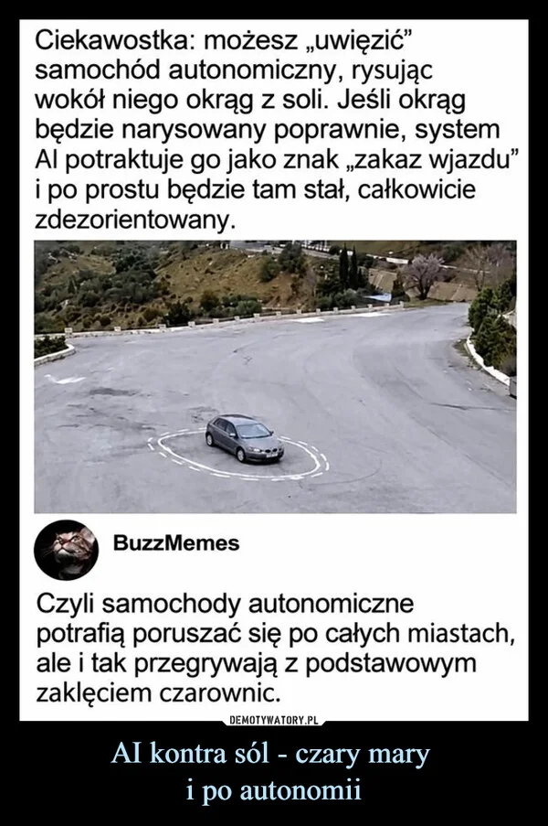 AI kontra sól - czary mary i po autonomii