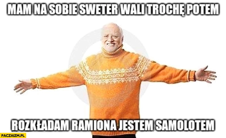 Mam na sobie sweter trochę wali potem rozkładam ramiona jestem samolotem dziwny pan ze stocku