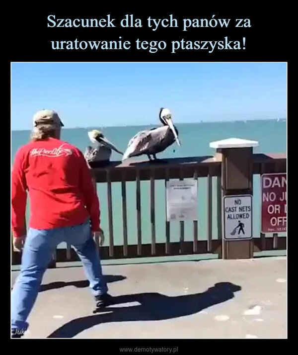 
    Szacunek dla tych panów za uratowanie tego ptaszyska!