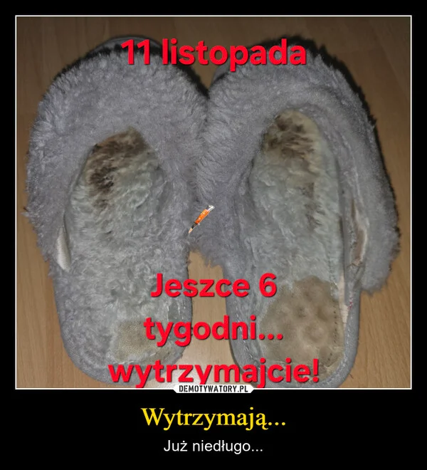 
    Wytrzymają...