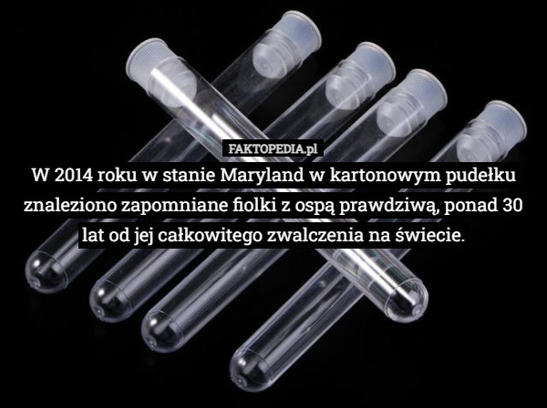 
    W 2014 roku w stanie Maryland w kartonowym pudełku znaleziono zapomniane