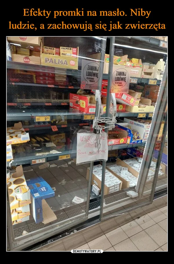 
    Efekty promki na masło. Niby ludzie, a zachowują się jak zwierzęta