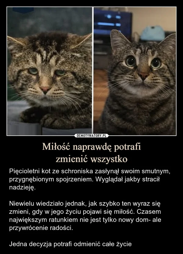 
    Miłość naprawdę potrafi zmienić wszystko