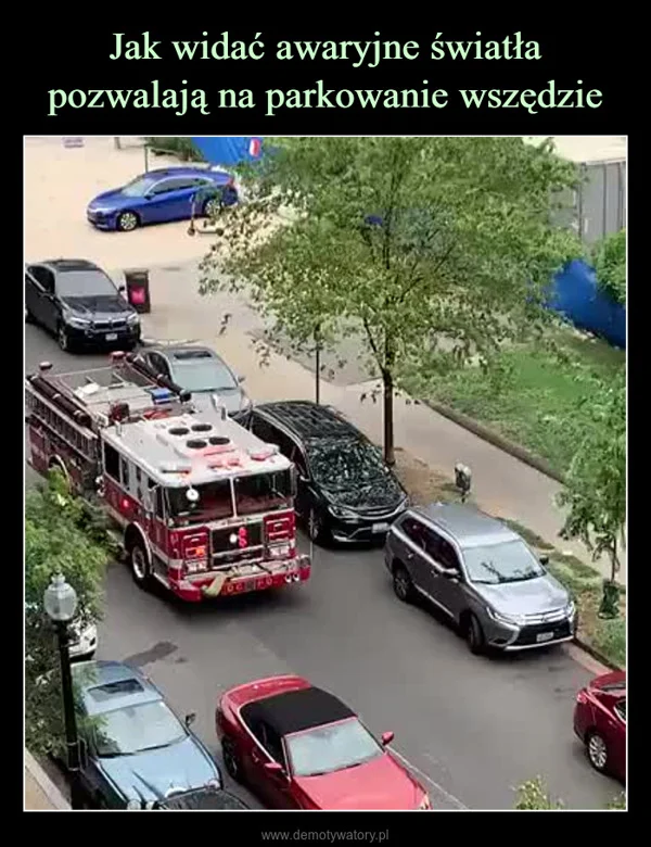 
    Jak widać awaryjne światła pozwalają na parkowanie wszędzie