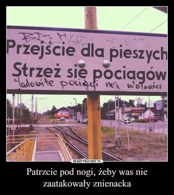 
    Patrzcie pod nogi, żeby was nie zaatakowały znienacka