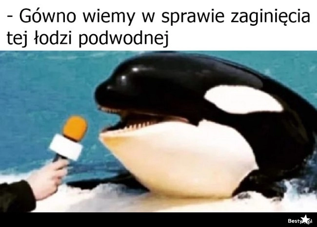 
    Zaginiona łódź podwodna 