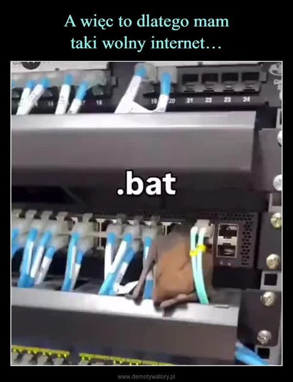 
    A więc to dlatego mam taki wolny internet…