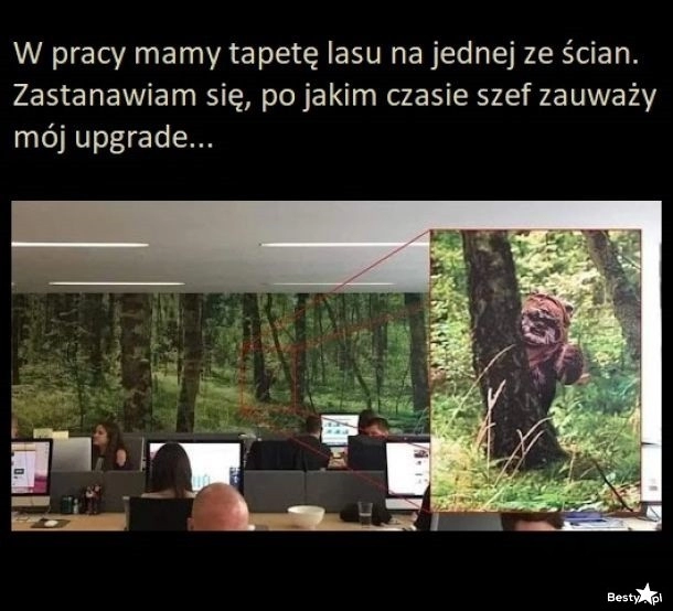 
    Mały upgrade tapety 