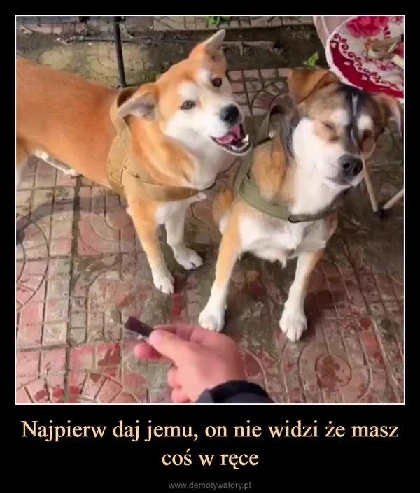 
    Najpierw daj jemu, on nie widzi że masz coś w ręce