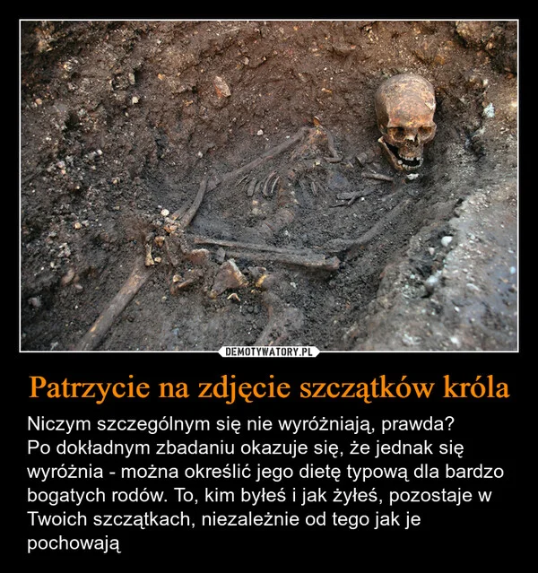
    Patrzycie na zdjęcie szczątków króla
