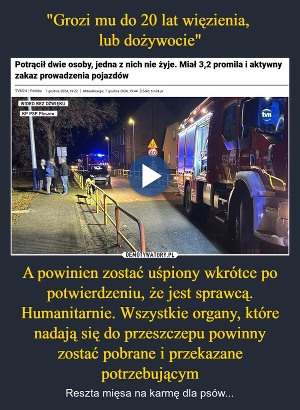 
    "Grozi mu do 20 lat więzienia, 
lub dożywocie" A powinien zostać uśpiony wkrótce po potwierdzeniu, że jest sprawcą. Humanitarnie. Wszystkie organy, które nadają się do przeszczepu powinny zostać pobrane i przekazane potrzebującym