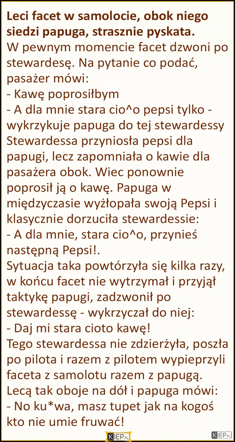 
    Facet i papuga lecą w samolocie...