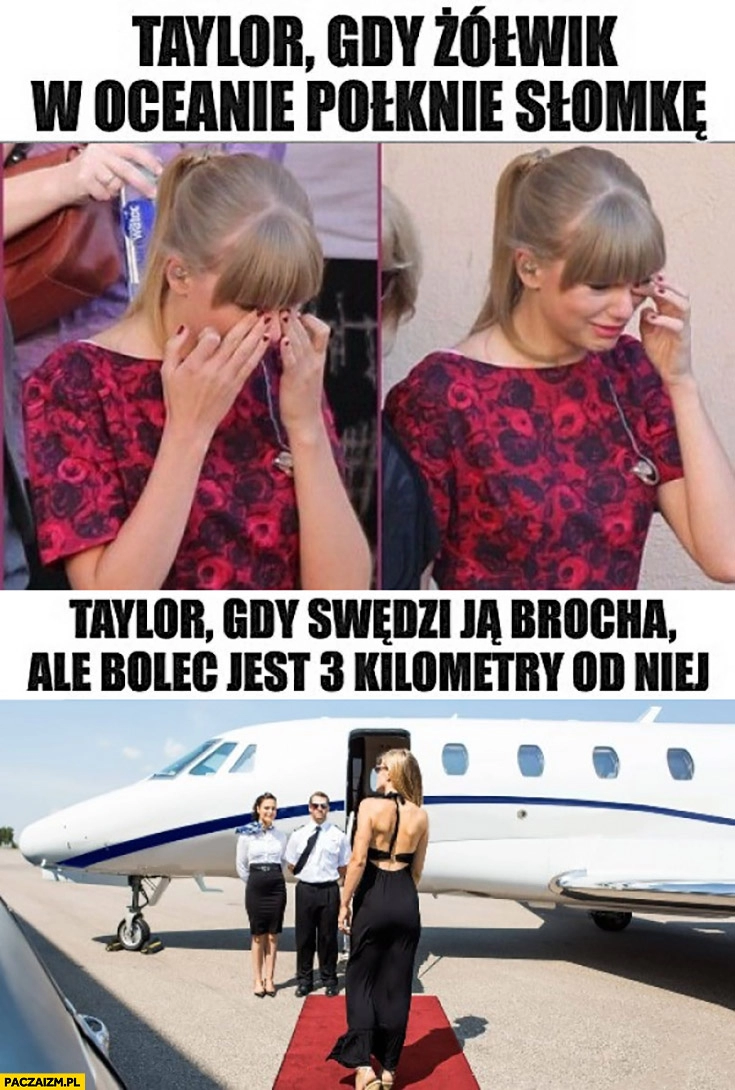 
    Taylor Swift gdy żółwik w oceanie połknie słomkę vs gdy swędzi ją brocha ale bolec jest 3 kilometry od niej leci prywatnym odrzutowcem